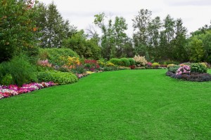 Green Lawn in Landscaped Formal Garden